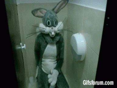 room for you.gif