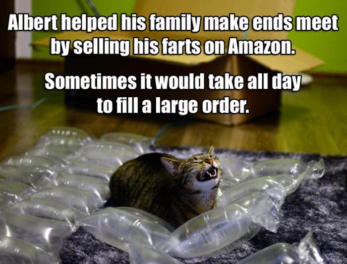 selling his farts on amazon.jpg
