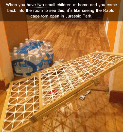 Raptor cage.jpg