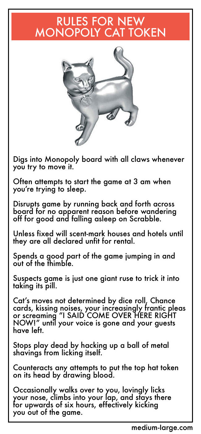 Rules for new cat monopoly token.jpg
