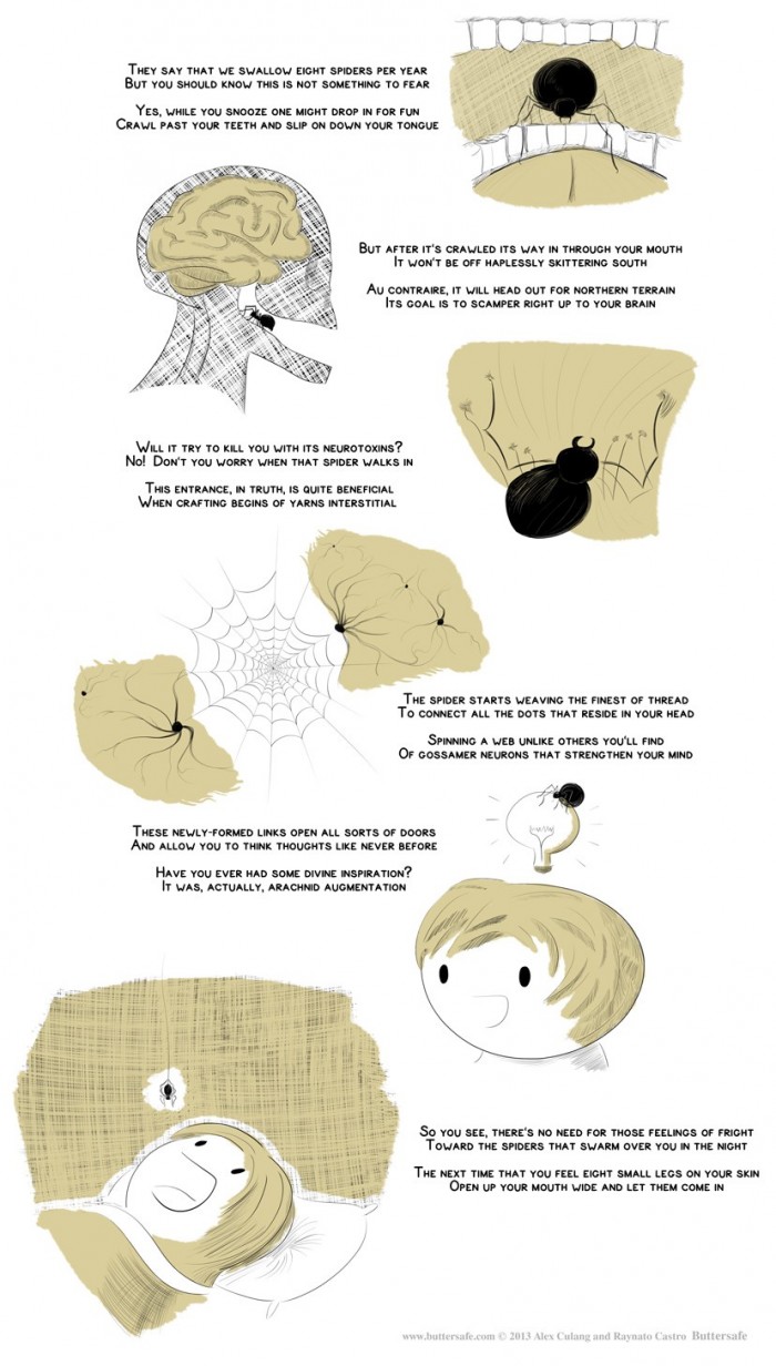 Spiders at night.jpg