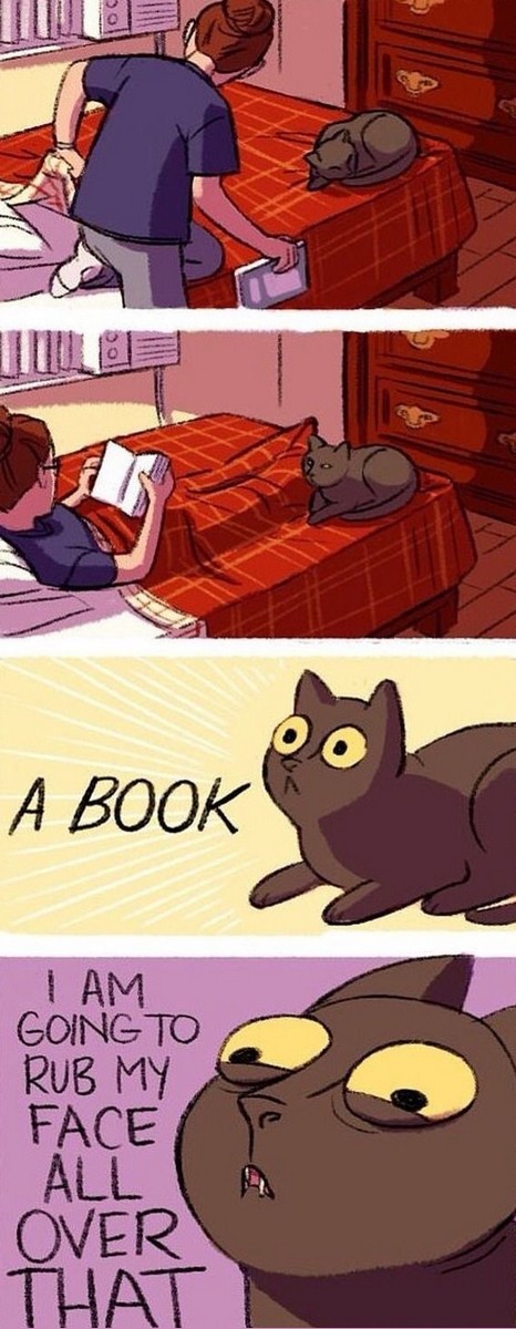 cat vs book.jpg