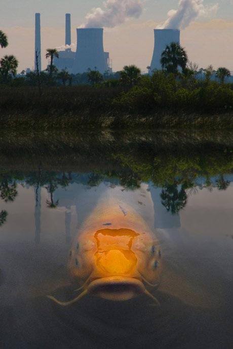 giant mutant nuclear fish.jpg
