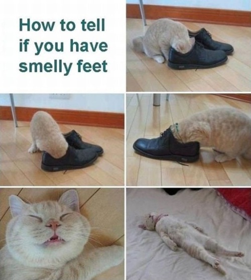 how to tell if you have smelly feet.jpg