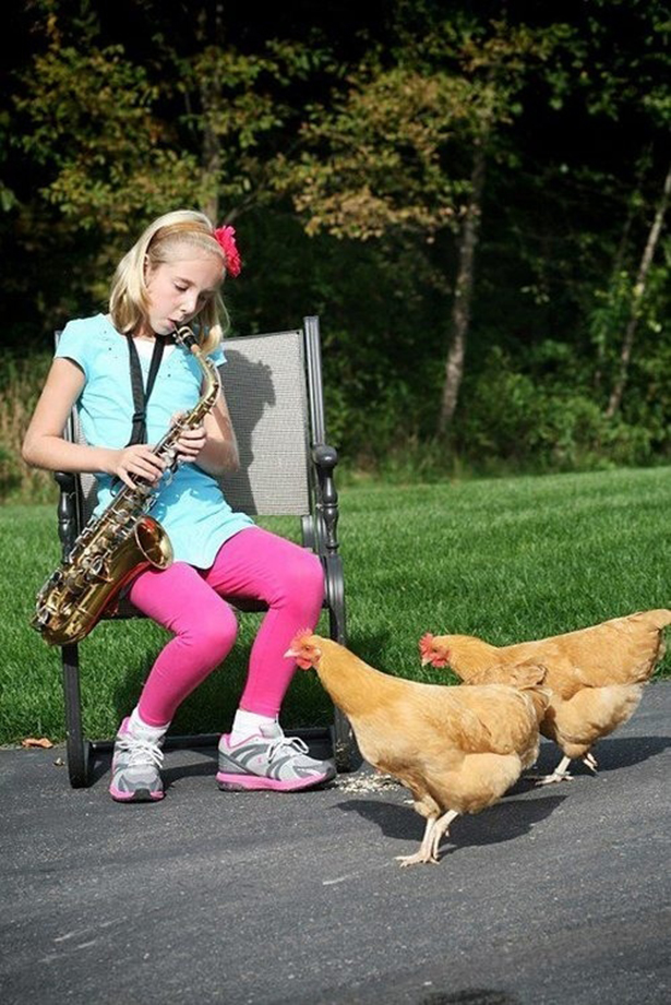 playing for cocks.jpg