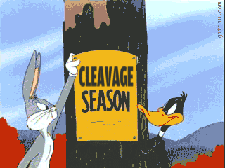 seasons.gif