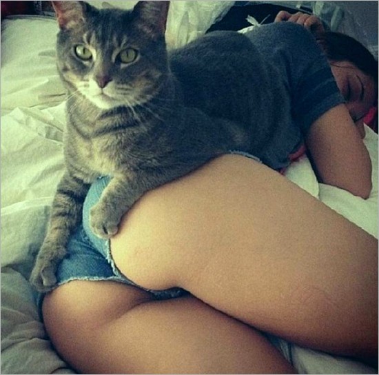 this ass is mine - ass cat.jpg