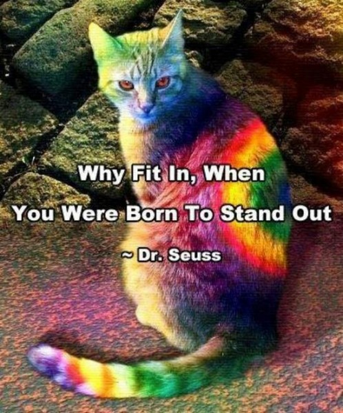 why fit in, when you were born to stand out - dr seuss.jpg