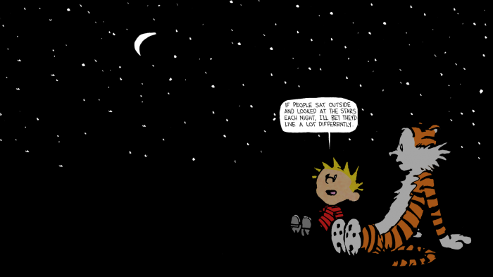 Calvin and Hobbes - Stars.png