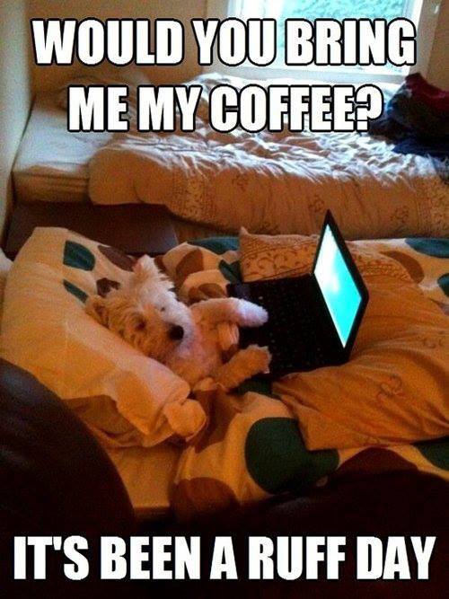 It's been a ruff day.jpg