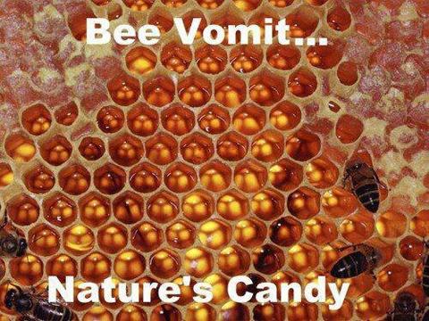 bee vomit - nature's candy.jpg