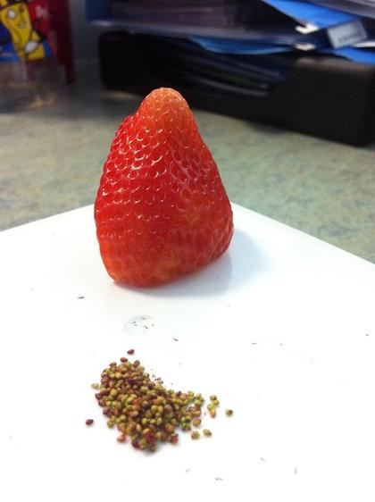 strawberry with no seeds.jpg