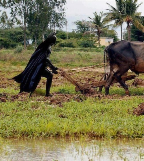 Batman farmer.jpg