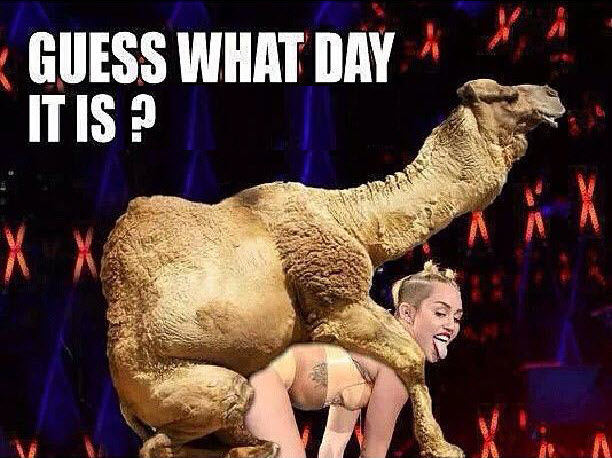 Guess what day it is.jpg