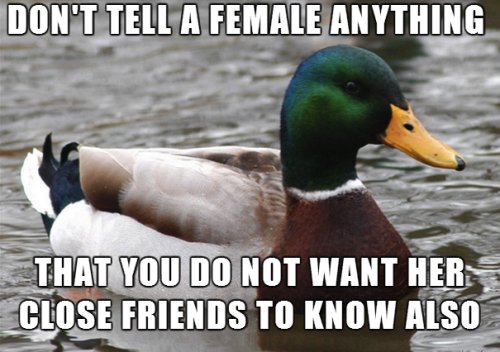 don't tell a female anything.jpg