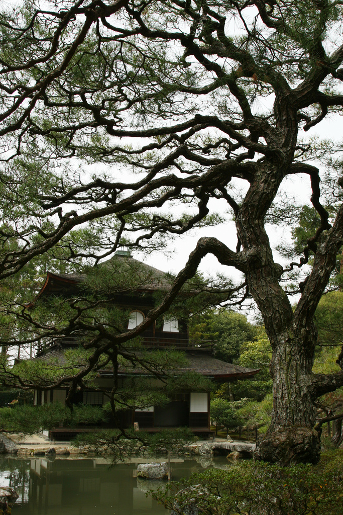 japanese house.jpg