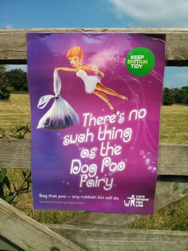 there's no such thing as the dog poo fairy.jpg