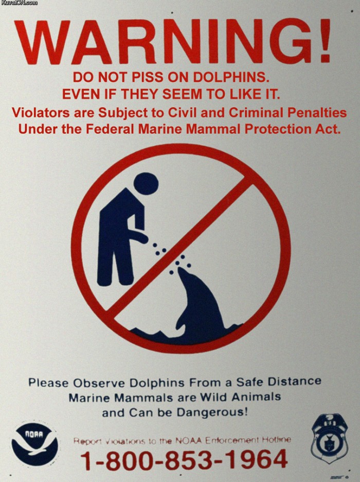 warning - do not piss on dolphins.jpg