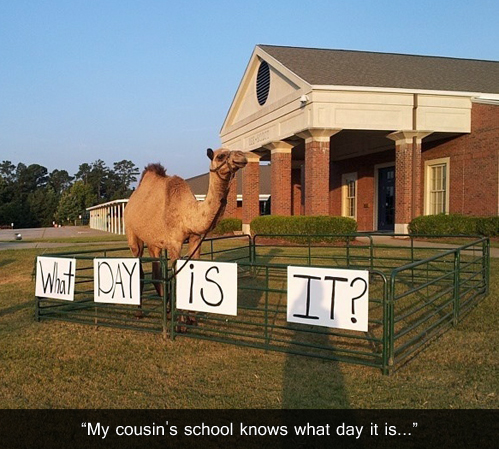 what day is it.jpg
