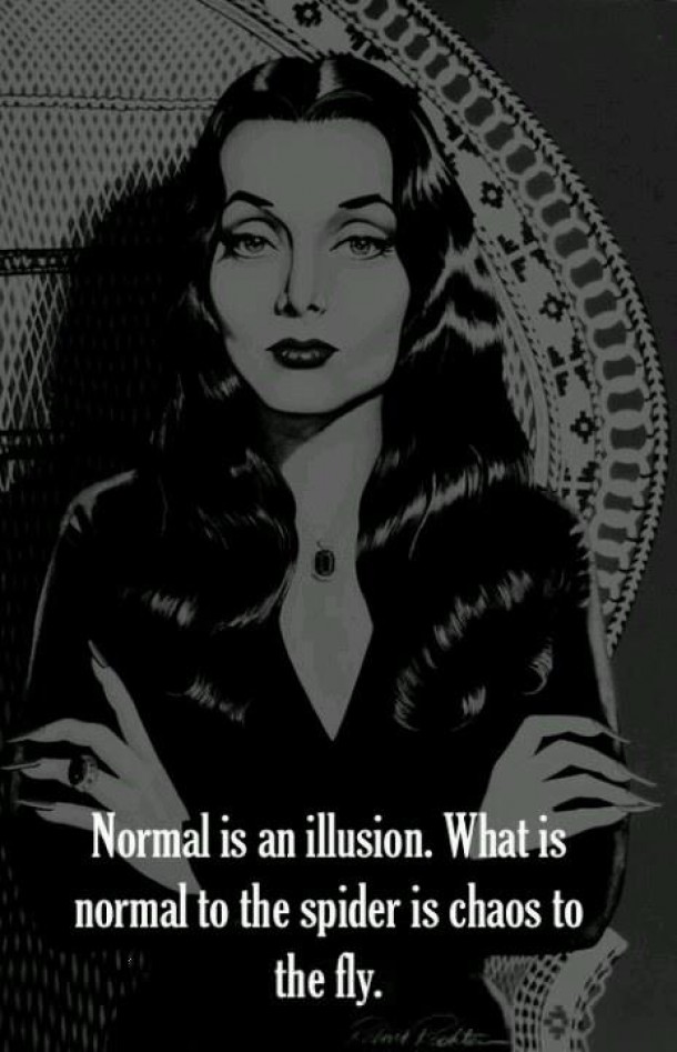 Normal is an illusion.jpg