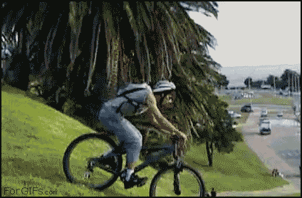 bike end.gif