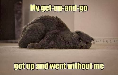 my get-up and ggo ggot up and went without me.jpg