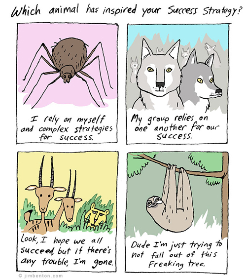 which animal has inspired your success story.jpg