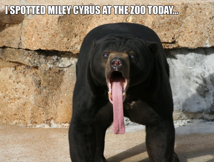 I spotted miley cyrus at the zoo today.jpg