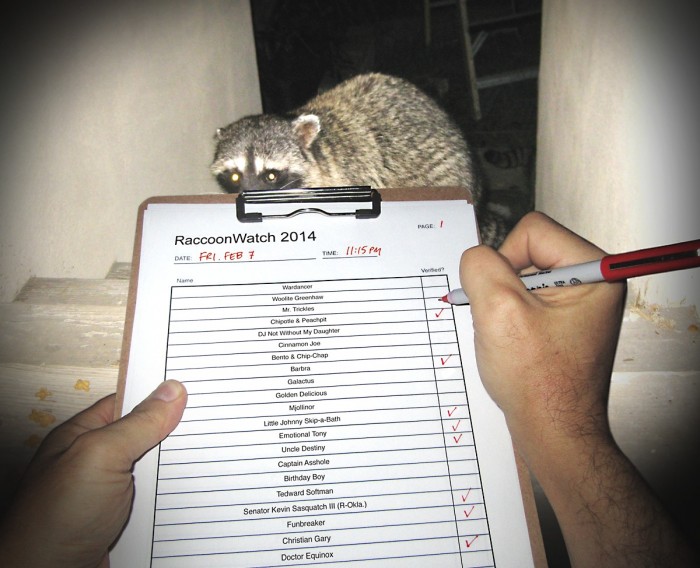 RaccoonWatch.jpg