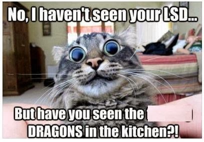 no I haven't seen your LSD.jpg