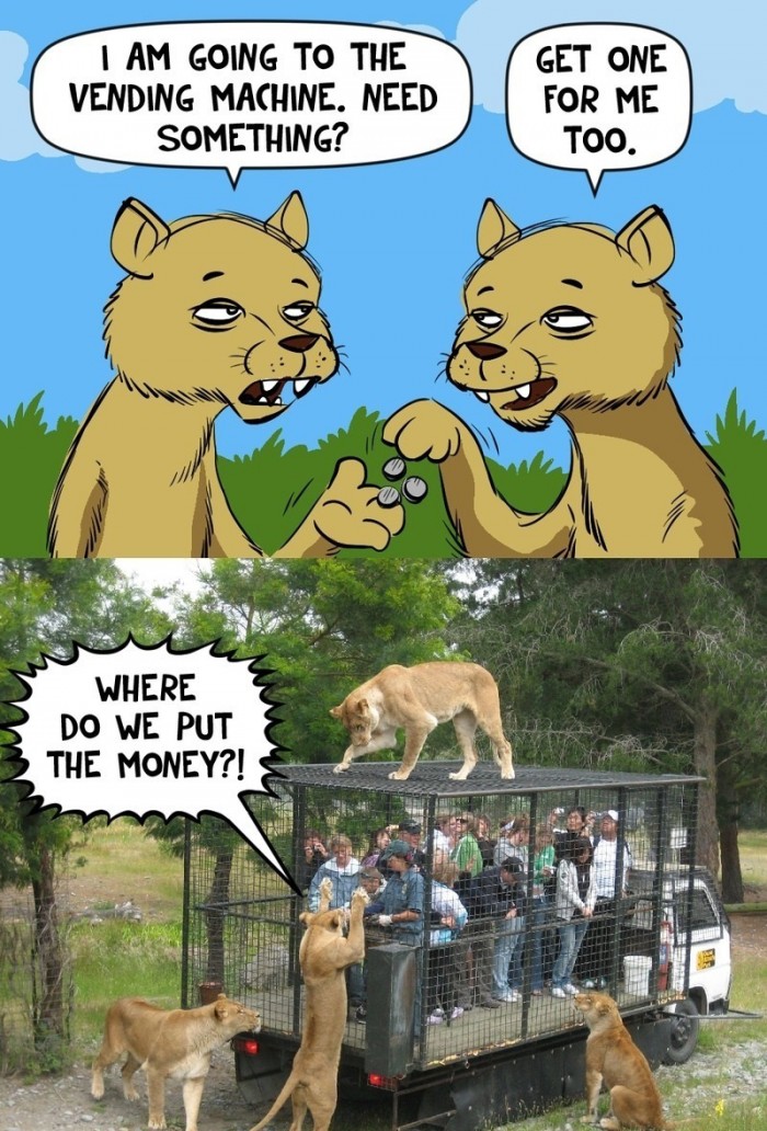 vending machine .jpg