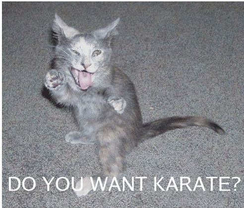 Do you want karate.gif