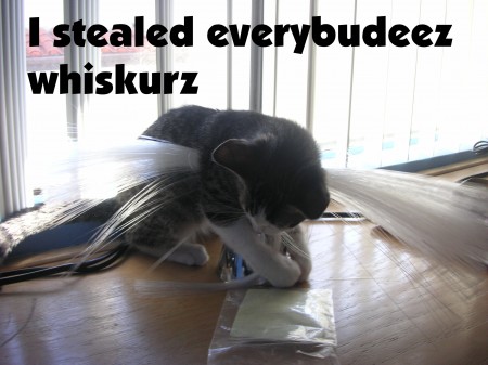 I stealed everybudeez whiskurz.jpg