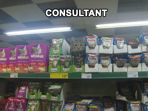 Kit Kat Consultant.jpg