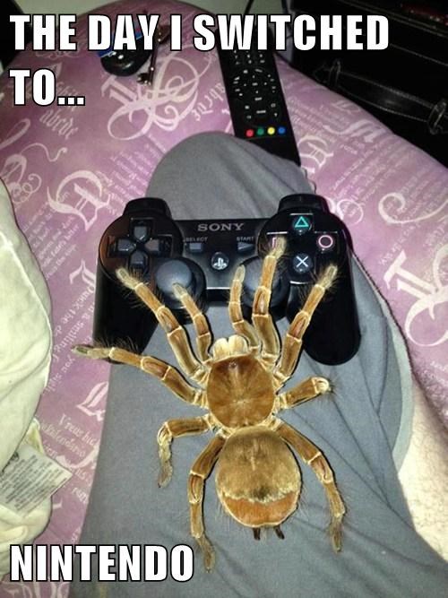 The day I switched to nintendo.jpg