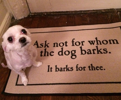 ask not for whom the dog barks.jpg
