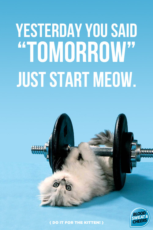 yesterday you said tomorrow.jpg