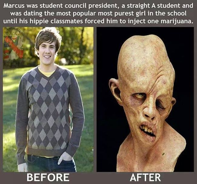 Before and After Weed.jpg