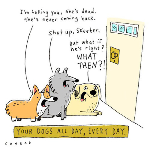 Your dogs day, all day, every day.jpg