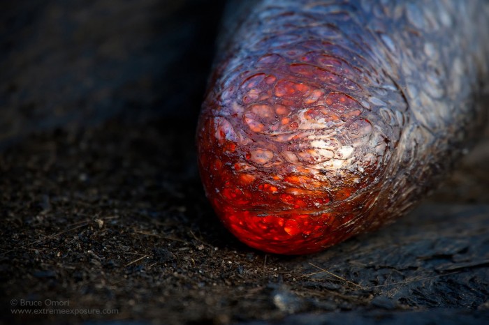 Lava Finger by Bruce Omori.jpg