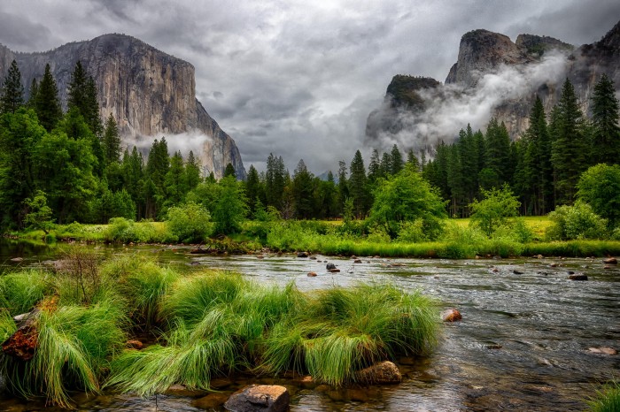 Merced River, Yosemite National Park, CA .jpg