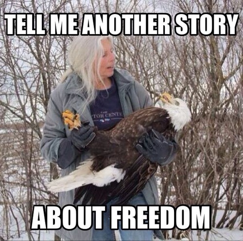 freedom story