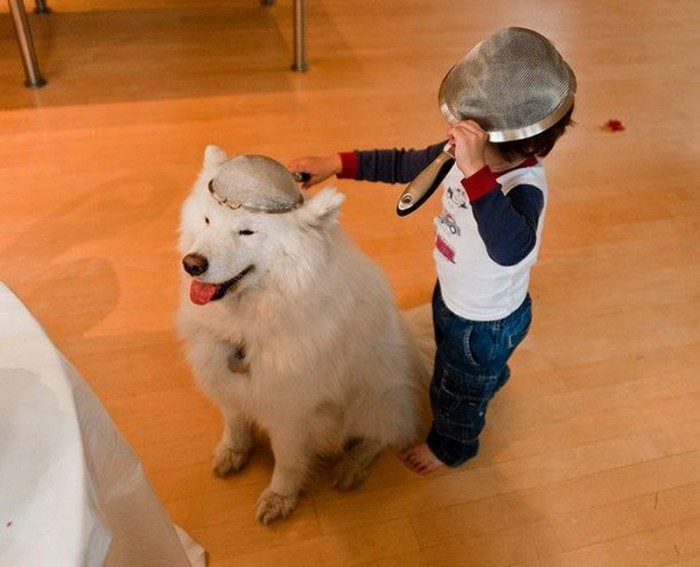 collindar dog.jpg