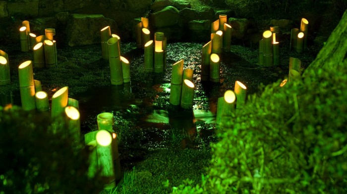 Bamboo Lights.jpg