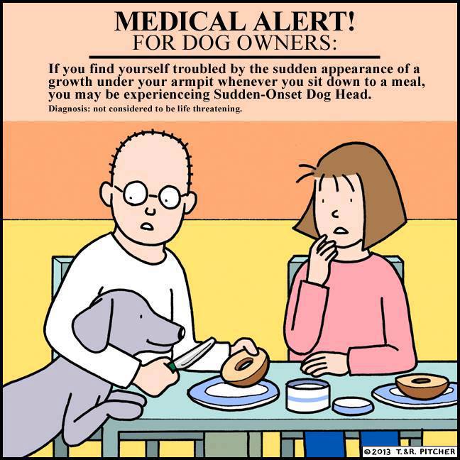 Medical alert for dog owners.jpg