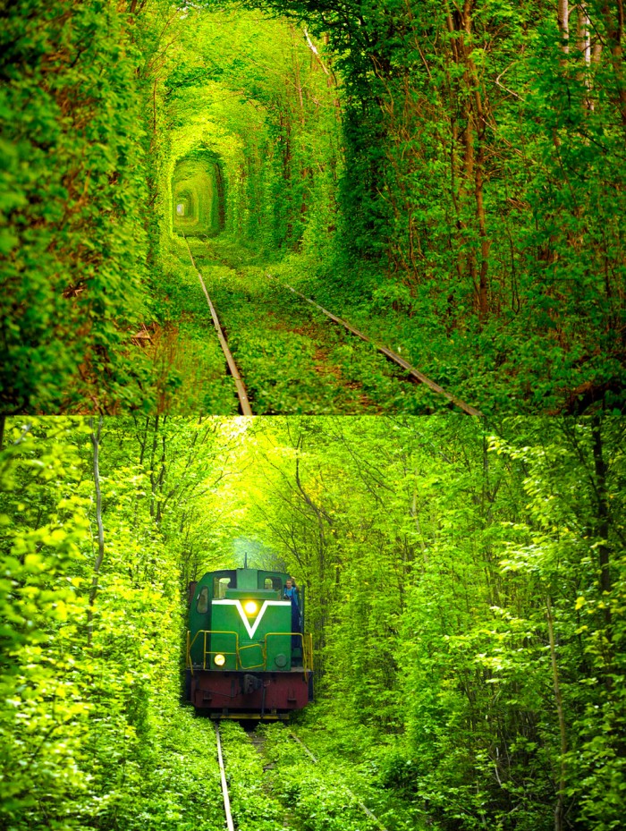 green trains.jpg