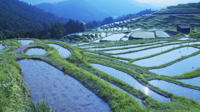 mie prefecture japan.jpg