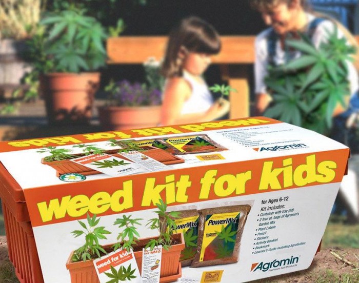 weed kit for kids.jpg