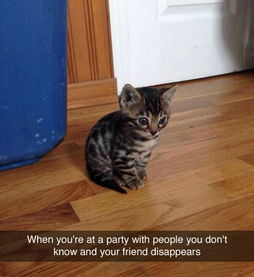I know nobody here.jpg