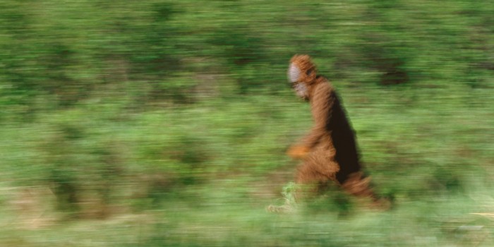 o-SASQUATCH-facebook